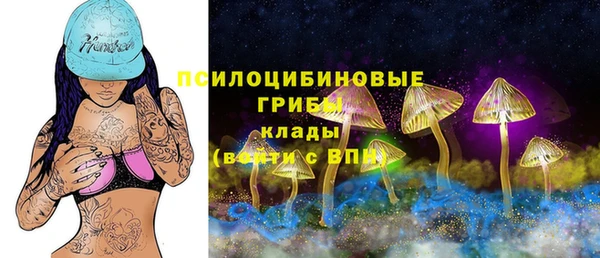 каннабис Арсеньев