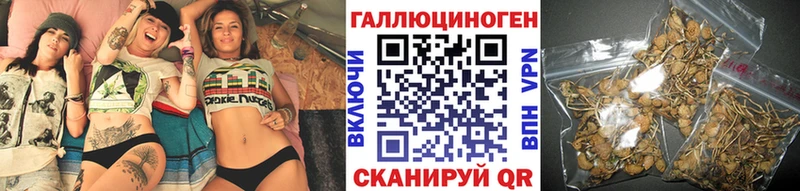 Псилоцибиновые грибы GOLDEN TEACHER  Чердынь 