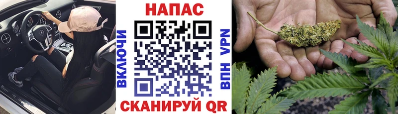Бошки марихуана план Чердынь